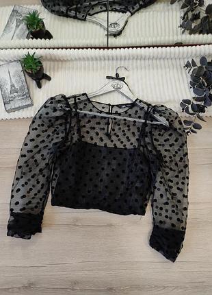 Блуза топ з органзи zara p s