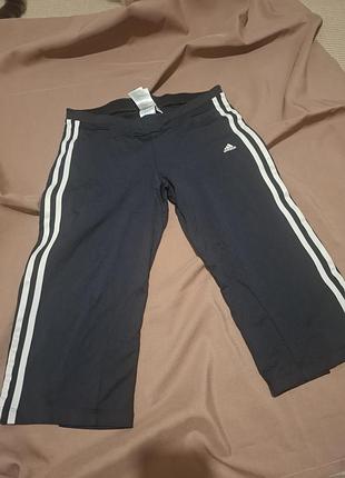 Спортивные бриджи adidas