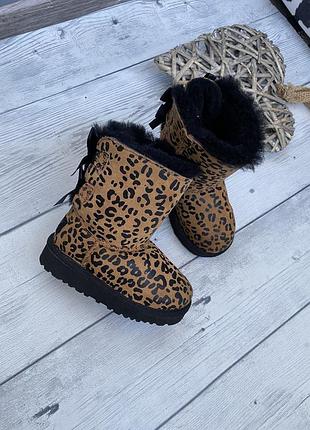 Ugg  угги с лентами кожаные леопардовый принт , оригинал, на девочку 23,5 размер( по стельке 14,5 см)