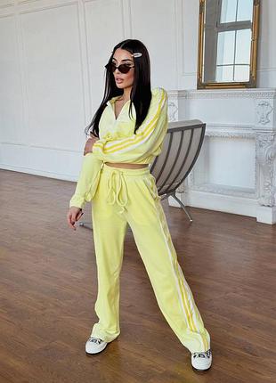 Женский брючный прогулочный велюровый костюм