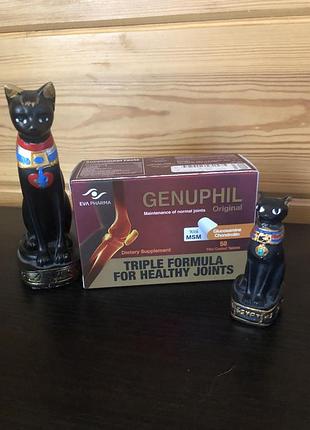 -genuphil- женуфіл -хондроітин з глюкозаміном