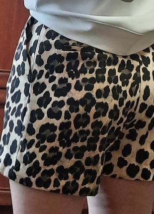 Шорты zara леопардовые 4