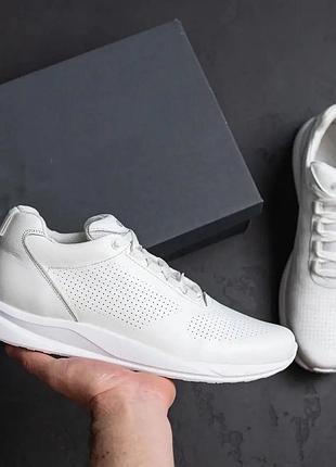 Мужские кожаные кроссовки эссо-series white белые 45р.