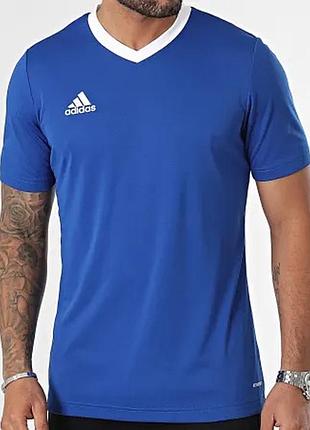 Чоловіча спортивна футболка adidas