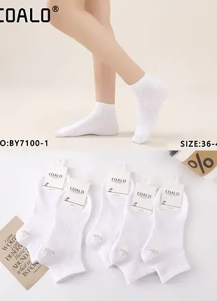 Женские укороченные носки белые coalo socks, размер 36-41