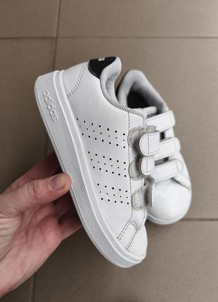Оригинальные кроссовки adidas