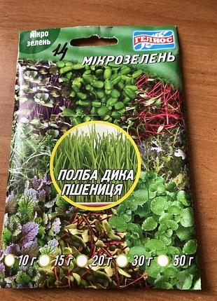 Полба дика пшениця мікрозелень насіння