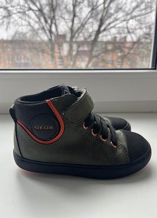 Дитячі черевики geox