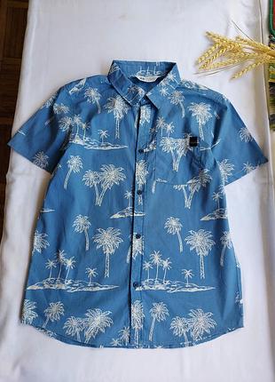 Бавовняна , котонова сорочка h&amp;m 11-12p,  152см