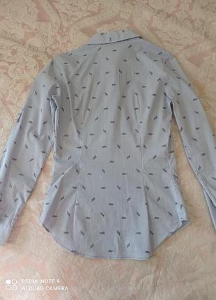 Блуза жіноча zara basic 10