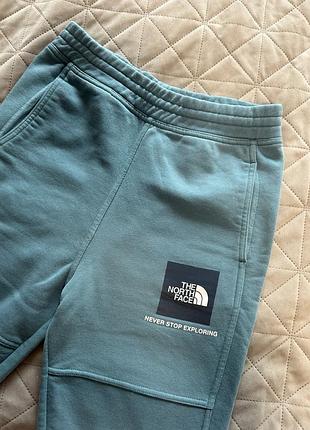 Штани на флісі the north face