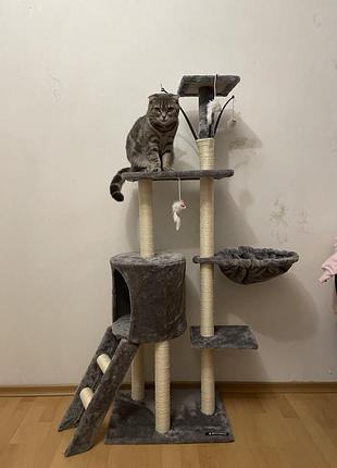Продам когтеточку с кошачьим домиком 🐈🐾

идеальное решение для вашего любимца! сочетает удобное место для отдыха и активных игр.
стан 10 з 10