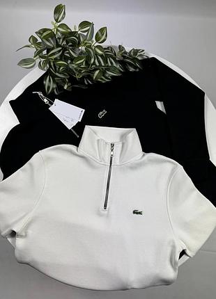 Zip 1/4 lacoste 2