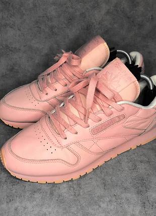 Кросівки reebok