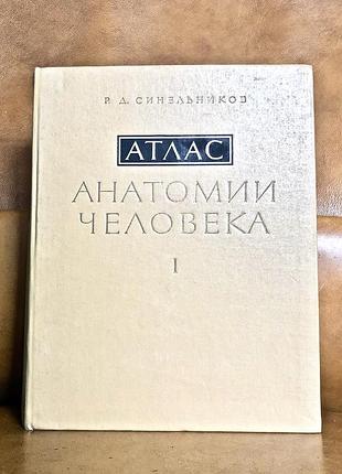 | атлас анатомии человека | том 1 | рафаил давыдович синельников  |