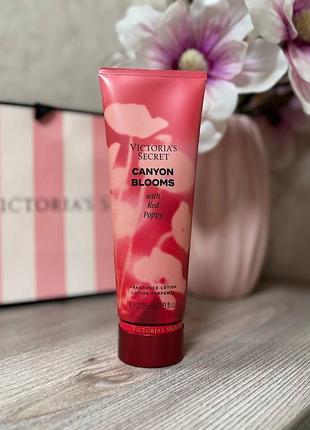 Парфюмированный увлажняющий лосьон для тела от victoria’s secret canyon blooms body lotion