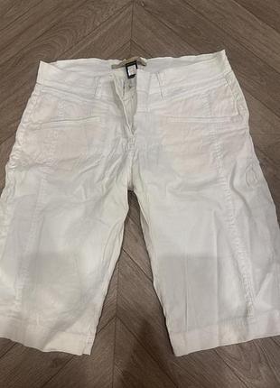 Бриджи cavalli
