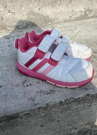 Кросівки adidas
