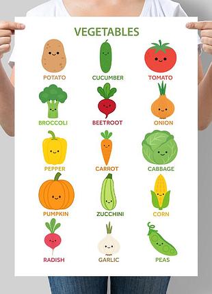 Учебный постер на английском языке овощи vegetables
