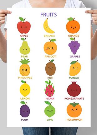 Учебный постер на английском языке фрукты fruits
