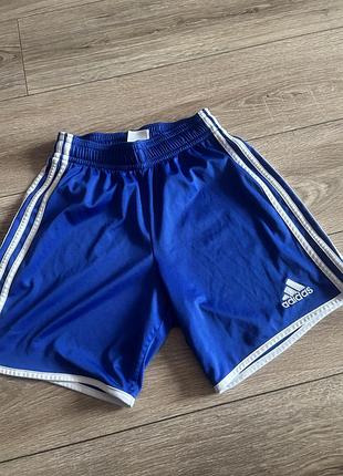 Жіночі шорти adidas оригінал