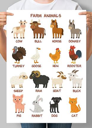 Учебный постер для дитсадка английской farm animals животного на ферме (свойские животные)