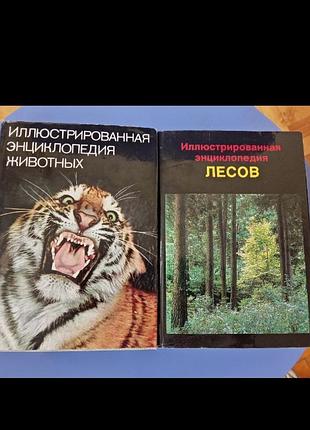 Артія илюстрована енциклопедія звірів лісів