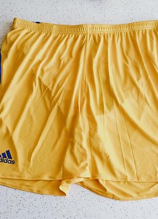 Новые мужские спортивные шорты adidas team short