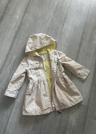 Милий плащ в горох 2