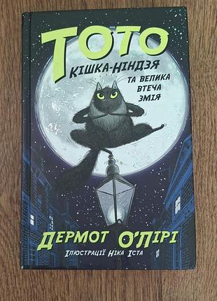 Тото, кішка-ніндзя, підійде на вік 8-10 років