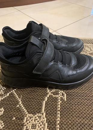 Кросівки ecco 34