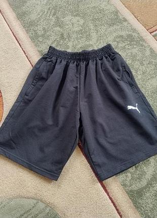 Шорти puma