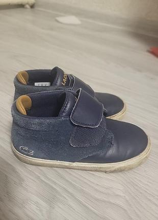 Черевики на хлопчика lacoste