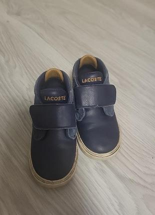 Черевики на хлопчика lacoste 3