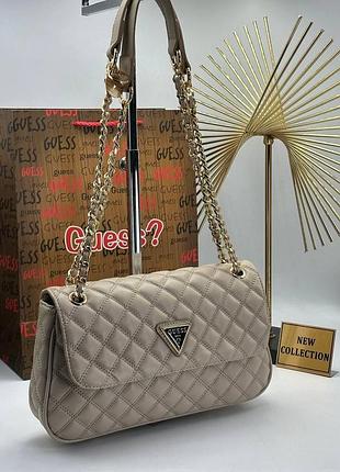 Guess 29x16