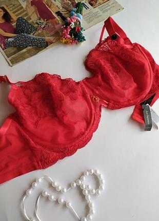 40gg, 90j, новый красивый кружный бюстгалтер ann summers