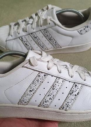 Кроссовки аdidas superstar. кожа