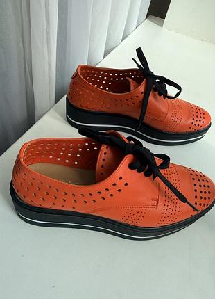 Яркие оксфорды baldinini