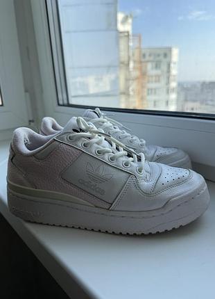 Жіночі кросівки adidas