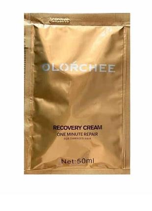 Експрес-догляд для відновлення волосся за 1 хвилину olorchee recovery cream one minute repair