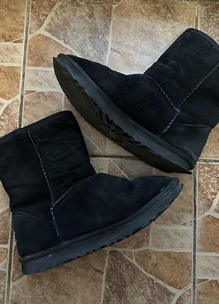 Ugg уггі оригінал