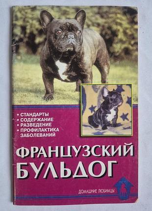 Крук у. французький бульдог