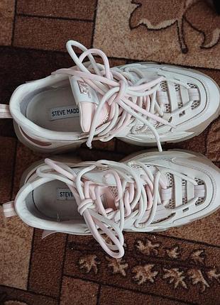 Кроссовки steve madden