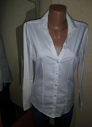 Рубашка сорочка блуза біла1 фото
