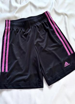 Трикотажні спортивні шорти ,, adidas,,