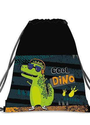 Сумка для взуття зі змійкою hipe cool dino 979077