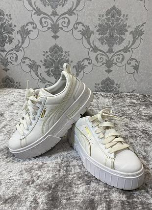 Жінлчі puma
