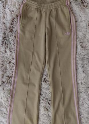 Штани спортивні