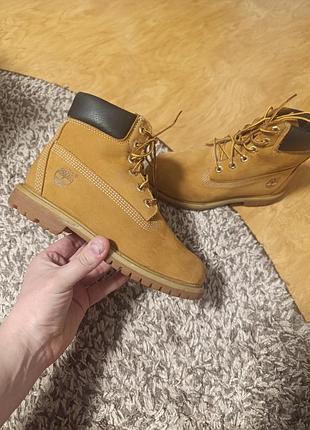Черевики timberland 6-inch premium waterproof boots