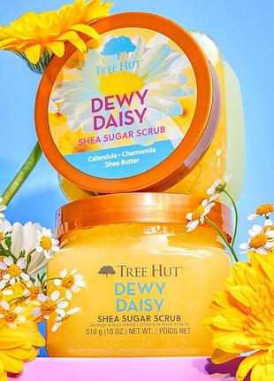 Скраб tree hut dewy daisy оригінал